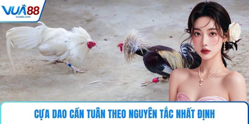 Cựa dao cần tuân theo nguyên tắc nhất định