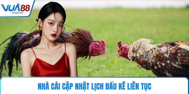 Nhà cái cập nhật lịch đấu kê liên tục