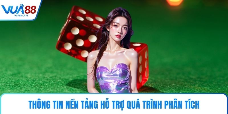 Thông tin nền tảng hỗ trợ quá trình phân tích